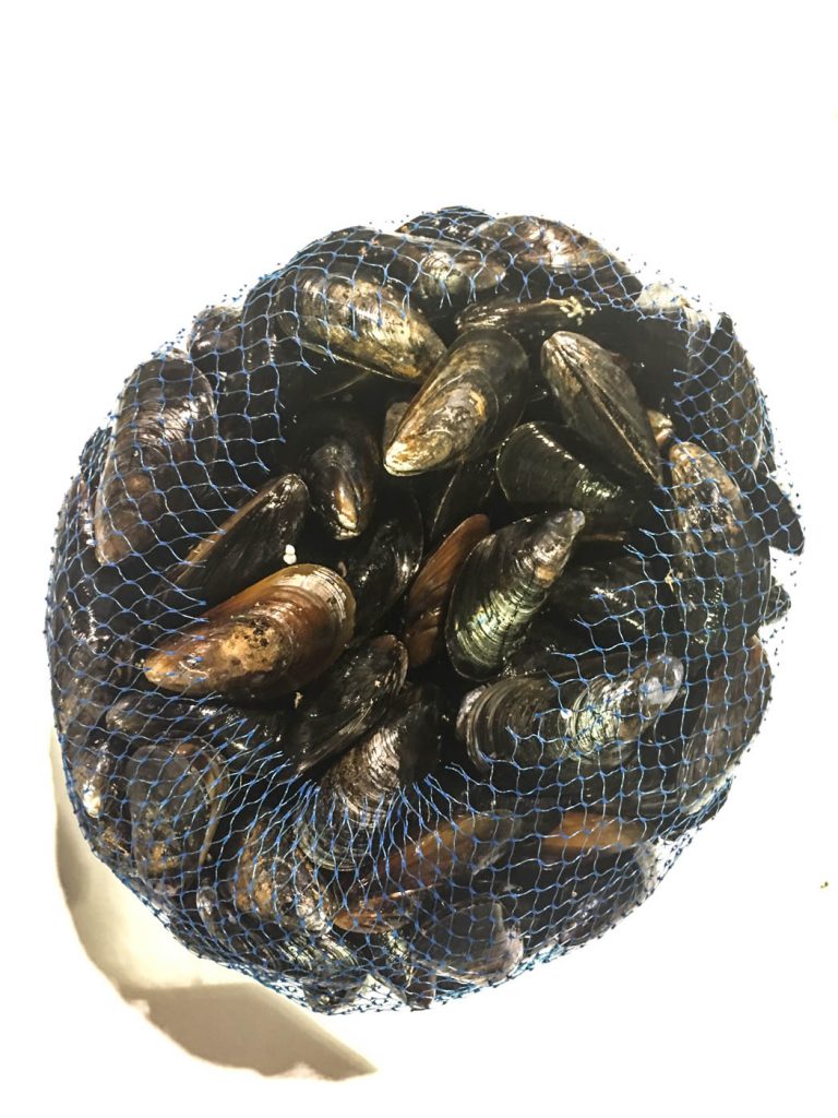 fresh PEI mussels