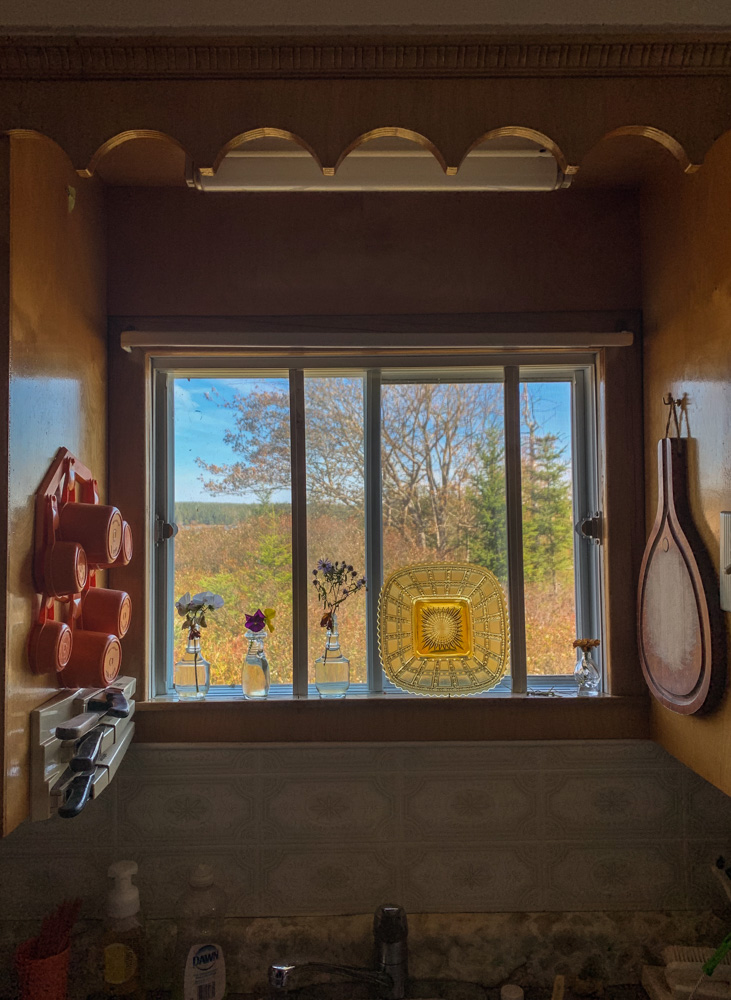 Kitchen Window, Ecum Secum