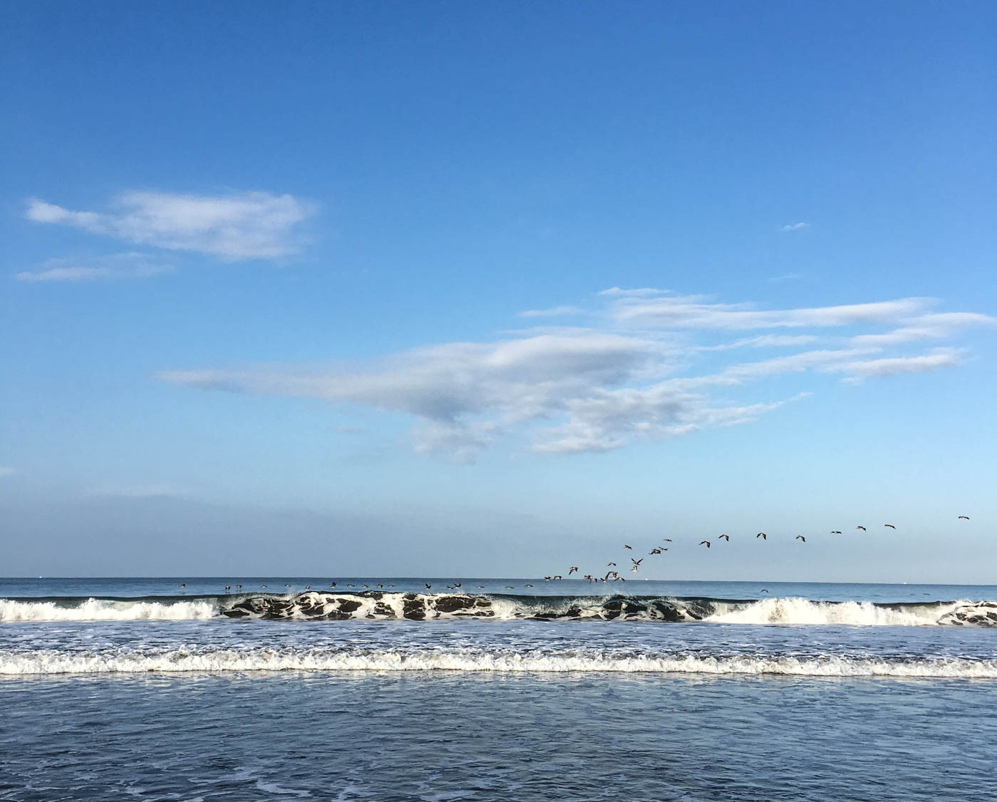 waves, birds at Jaco beach