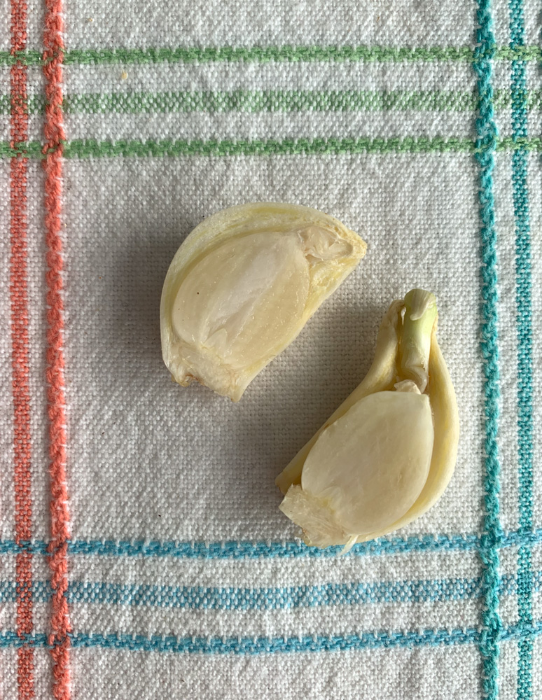 Old Garlic