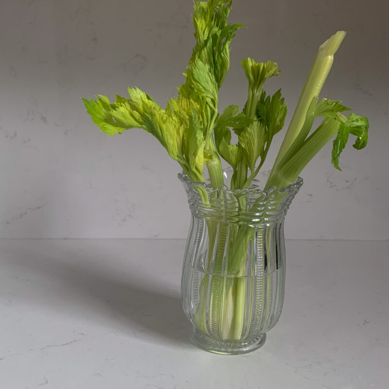 celery in a celery vase