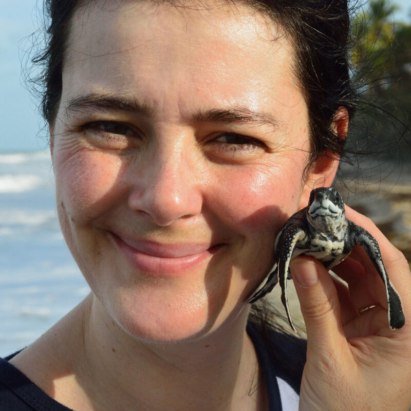 Kathleen Martin of the Canadian Sea Turtle Network
